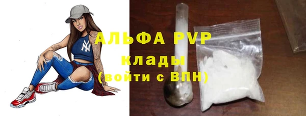 молекула духа Бронницы