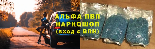 молекула духа Бронницы
