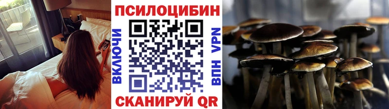 где купить наркотик  Тихорецк  Галлюциногенные грибы мицелий 